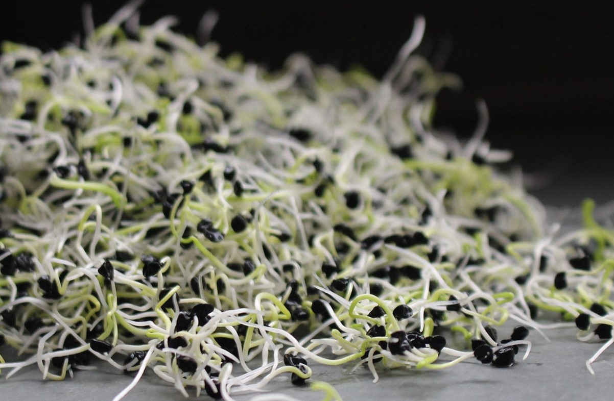 One Stop Vitamin Powerhouse! Specialty Emulsions